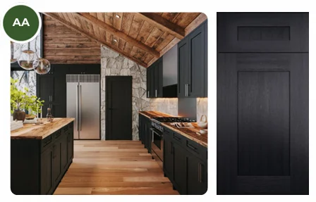 Forevermark Blaze Black Shaker