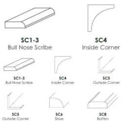 CZ-SC1-3 SM Bull Nose Scribe Molding | TSG Forevermark Cullian Champagne
